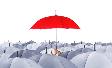 Person holding umbrella over other on white background