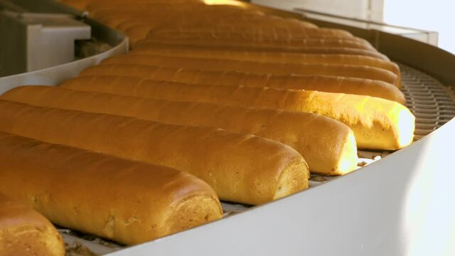 Production of vanilla bread crumbs from wheat flour at a bread factory.