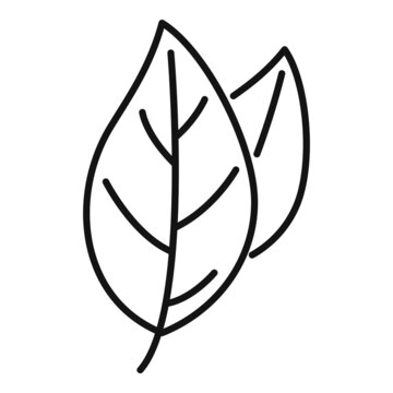 Basil spice plant icon outline vector. Herb leaf