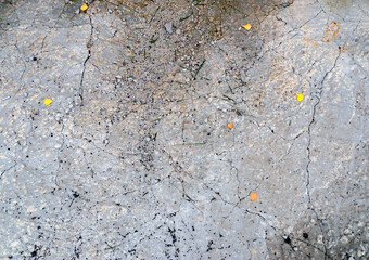 Concrete background with cracks and yellow leaves