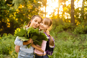 Two girls walk in summer in park, talk, walk after school and college, hold hands, best friends return home after school. Free space for copy text