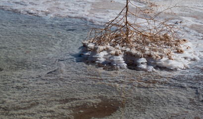 Mineral crystal with fallen branch inside placed in salt lake.