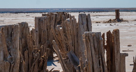 View from a tree stumps to a leadership pillar.