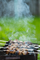 Meat is fried on skewers on the mangal. Barbecue meat on skewers in smoke. Grilled kebab cooking in a country house. Copy space