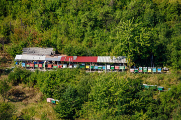 Beekeeping for honey in Romania	