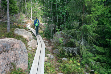 Fototapeta premium Female hiker walking on a narrow wooden walk through the forest in Skuleskogen National Park, Sweden.