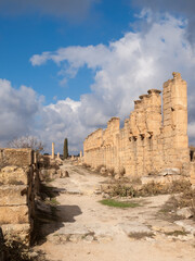 Skyrota with Hercules and  Hermes images in Cyrene