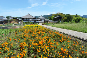 Obraz premium 飛鳥寺 西からの外景 奈良県明日香村