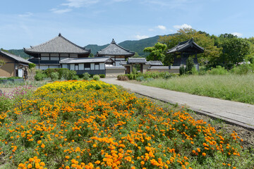 飛鳥寺　西からの外景　奈良県明日香村