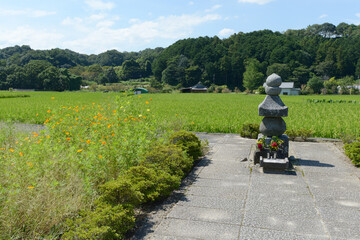 飛鳥寺　蘇我入鹿首塚　奈良県明日香村