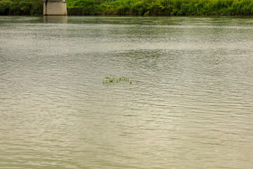 water flowing into the river