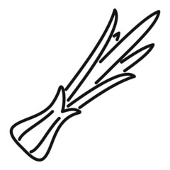Leek chive icon outline vector. Fresh garlic