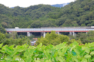 house in the mountains