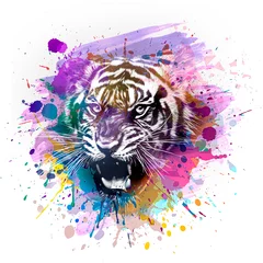 Ingelijste posters tiger head with background © reznik_val