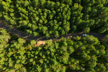 Aerial view of countryside road passing through the green forrest. High quality photo