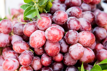 Grape fruits on nature background.