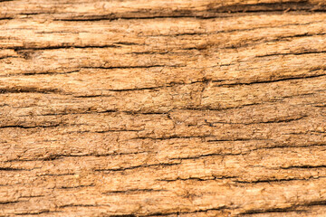 Old plank wood and texture background.