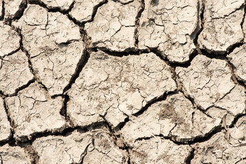 Cracked soil surface and texture background.