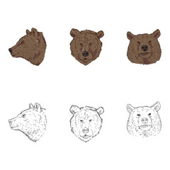 Vector Set of Bear Head Illustrations. Sketch and Cartoon