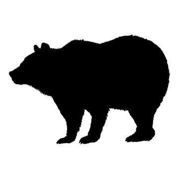 Vector Silhouette of Brown Bear