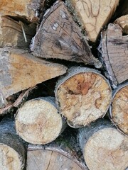 stack of firewood