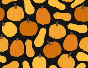 Seamless pattern of different hand-drawn pumpkins. Concept of fall, autumn, nature, harvest time, thanksgiving, Halloween. Colored vector illustration, isolated on black.