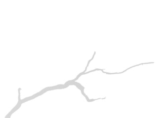 Blurred shadow of a Tree branch, snag or bare tree. Realistic Grey silhouette with empty space. Decorative element for design.