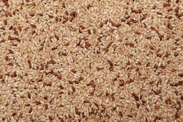 Background from different types of rice groats, white, brown and wild rice