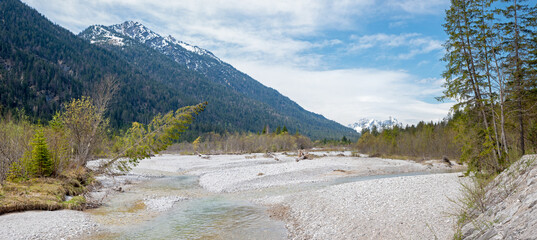 breeding area for rarely birds, Obere Isar river gravel banks