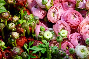 Bodegón flores en una floristería