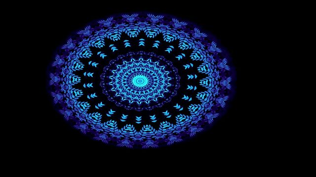 c&iacute;rculos en color azul y celeste en movimiento con fondo negro y vegetaci&oacute;n en los bordes con un centro que se mueve siguiendo un patr&oacute;n.
