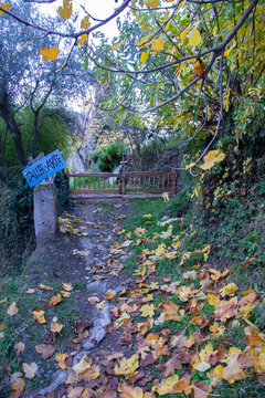 entrance to a farmhouse in the Taha of Pitres with yellow leaves from the tree above and fallen on the ground and a sign that says art workshop in autumn in the Alpujarra