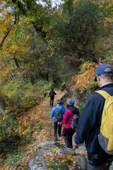 Group of hikers going down a path with trees and the ground full of ocher leaves during the tour of...