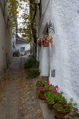 Fototapeta na wymiar alley of a town in La Taha with yellow autumnal leaves on the ground and pots of geraniums and succulents hanging and placed on the ground