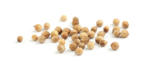 Scattered dried coriander seeds on white background