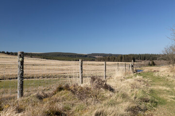Fototapeta premium fence in the field