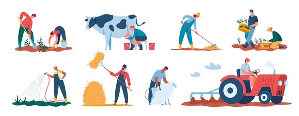 Agricultural workers harvesting plants, farmers working in field. Farmer watering crops, shearing sheep, tilling soil with tractor vector set. Character milking cow, collecting potatoes