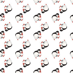 Vector white background ocean seabird, arctic birds, puffins. Seamless pattern background