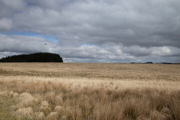 Fototapeta premium clouds over the field