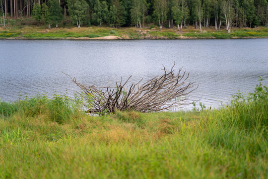 Rieder Bilder Durchsuchen 13,716 Archivfotos, und