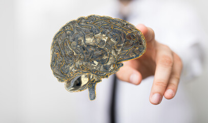 3d rendering of human brain on technology background