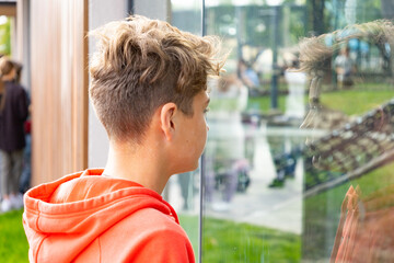 Fototapete bei efototapeten.de bestellen   