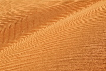 Sahara, Morocco