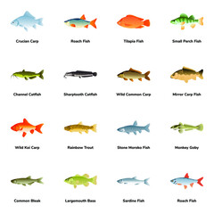 Flat Icons of Fish Types

