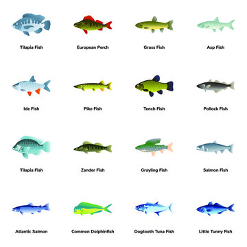 Flat Icons of Fish Types

