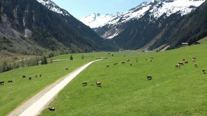 The beautiful nature of Austria