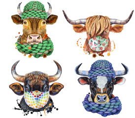 Set of watercolor bulls on white background.