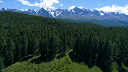 Fototapeta premium The beautiful nature of Austria