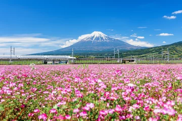 Photo sur Plexiglas Mont Fuji Shinkansen à fleur rose et mont fuji, Shizuoka