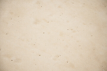 Fototapeta na wymiar Old paper texture.Sand beach background